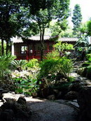 Wuyi Mountain